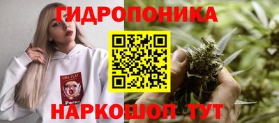 мдпв Ливны