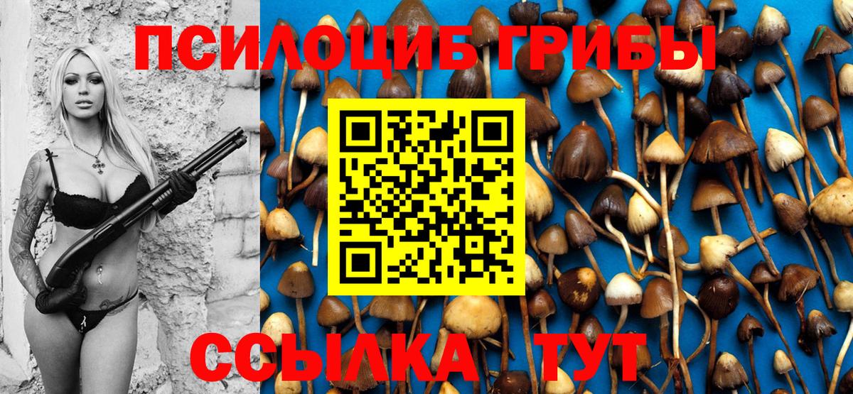 Псилоцибиновые грибы мухоморы Дмитров