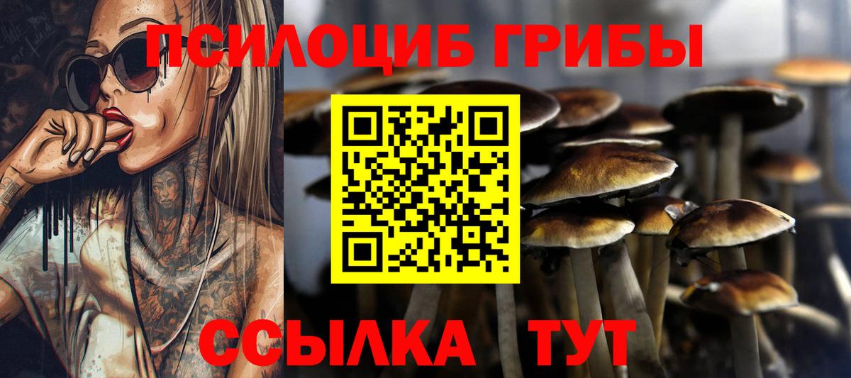 Псилоцибиновые грибы ЛСД  Вход с VPN  Дмитров 
